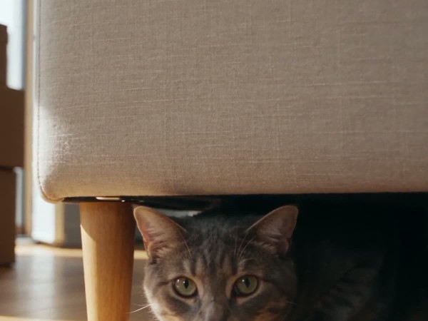 blog_hero_T13